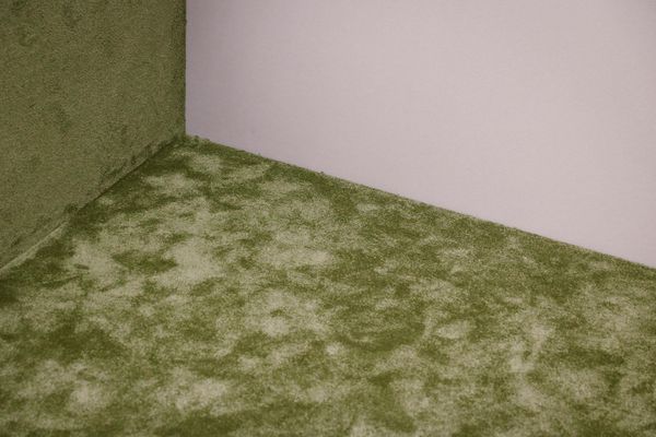 A quiet and clean corner of a room with a yoga mat.
